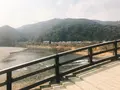 錦帯橋の写真_299090