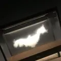 森美術館の写真_300951