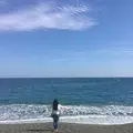 桂浜の写真_302383