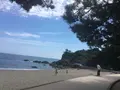 桂浜の写真_302384