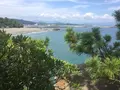 桂浜の写真_302385