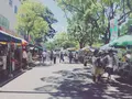 日曜市の写真_302401