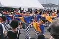 高知県の写真_302402