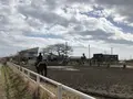 一の宮乗馬センターの写真_303117