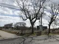 一の宮乗馬センターの写真_303118