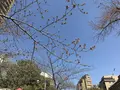 【閉業】ランディ（RANDY）の写真_305018