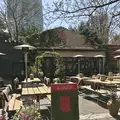 【閉業】ランディ（RANDY）の写真_305019