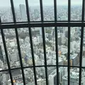コンラッド大阪の写真_306398