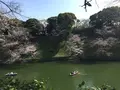 千鳥ヶ淵緑道の写真_306634
