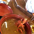 おかげ横丁の写真_306667