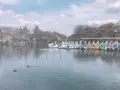 井の頭恩賜公園の写真_306774