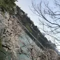 北の丸公園の写真_306894