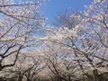 大井ふ頭海浜公園の写真_307151