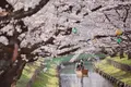 小江戸川越一番街商店街 蔵造りの町並みの写真_307270