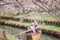 小江戸川越一番街商店街 蔵造りの町並みの写真_307272