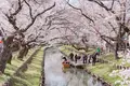小江戸川越一番街商店街 蔵造りの町並みの写真_307275