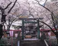 金崎宮の写真_307529