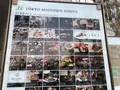 東京ミッドタウン日比谷 の写真_307788