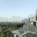東京ミッドタウン日比谷 の写真_307791