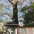 愛宕神社の写真_307813