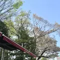 Le Pain Quotidien (ル・パン・コティディアン) 芝公園店の写真_307831