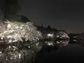 井の頭恩賜公園の写真_307867