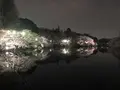 井の頭恩賜公園の写真_307868