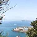 大崎公園の写真_308199