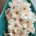 飯田橋サクラテラスの写真_308332