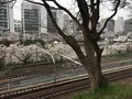 飯田橋サクラテラスの写真_308335