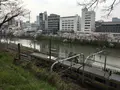 飯田橋サクラテラスの写真_308336