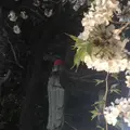 慈眼寺の写真_308473