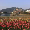 ハウステンボスの写真_308486