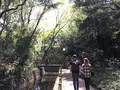 等々力渓谷の写真_308512