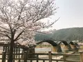 錦帯橋の写真_309064