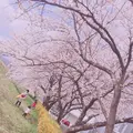 稲荷大明神の写真_309930