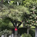 奥州道（バス）の写真_311398