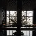 アマン東京の写真_311455