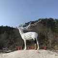 白い鹿のオブジェの写真_312229