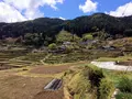 恵那市坂折棚田保存会の写真_312508