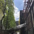 【閉業】ショウゾウ コーヒー ストア（SHOZO COFFEE STORE）の写真_312517