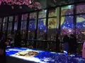 東京タワーの写真_312651