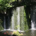 ホテル雅叙園東京（旧 目黒雅叙園）の写真_313083