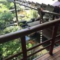 武家屋敷跡 野村家の写真_313942