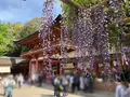 春日大社の写真_314095