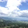 大室山の写真_314213