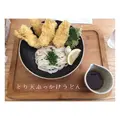 うどん日和の写真_314345