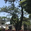箭弓稲荷神社の写真_314563