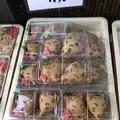 箭弓稲荷神社の写真_314568