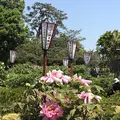 箭弓稲荷神社の写真_314574